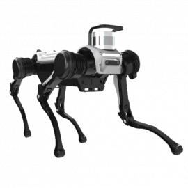 Deep Robotics Standard