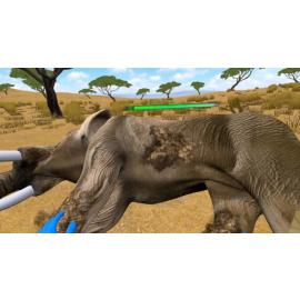 Wildlife Doctor — ветеринарный симулятор в формате VR