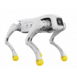 Робот-собака Agibot D1 Edu
