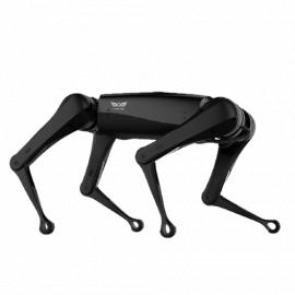 Робот AlphaDog C100