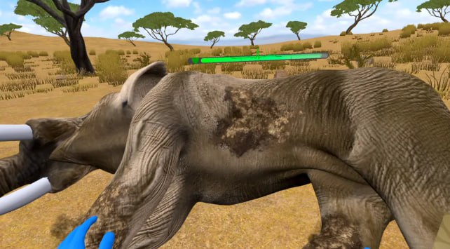 Wildlife Doctor — ветеринарный симулятор в формате VR