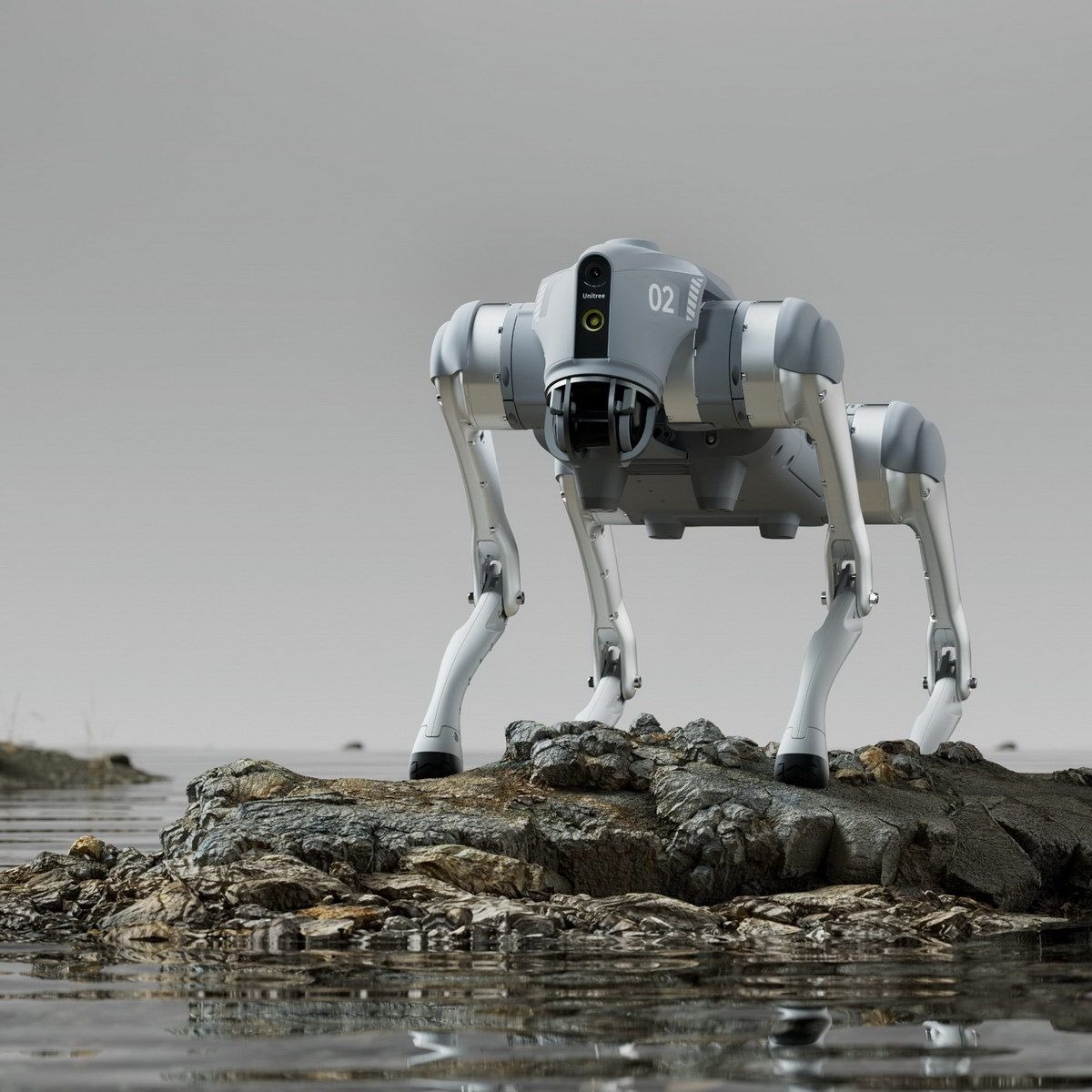 Роботы-собаки