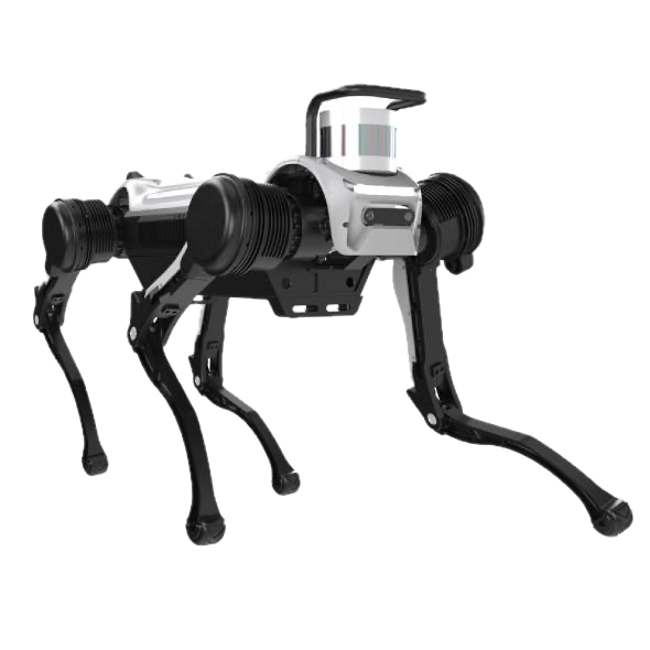 Deep Robotics Standard