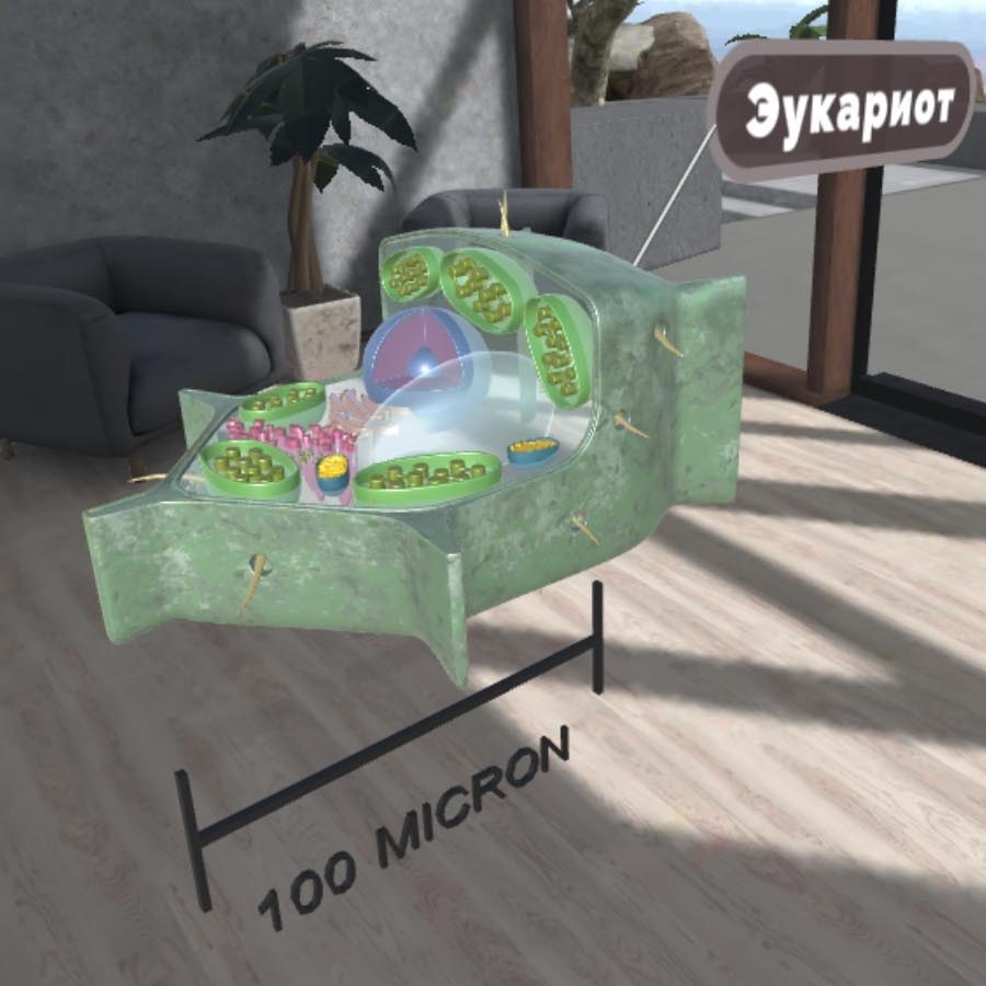 Курс Биология. Виртуальная лаборатория (бессрочная лицензия на 1 устройство)