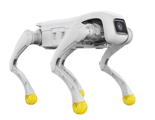 Робот-собака Agibot D1 Edu